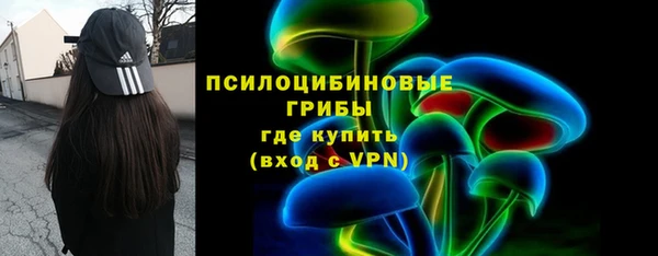 СК Бронницы