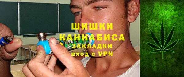 СК Бронницы