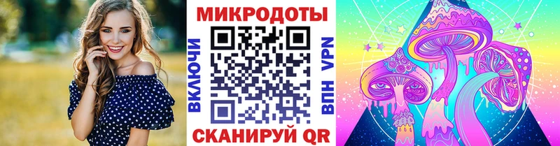 Галлюциногенные грибы Psilocybe  что такое   Новый Уренгой 